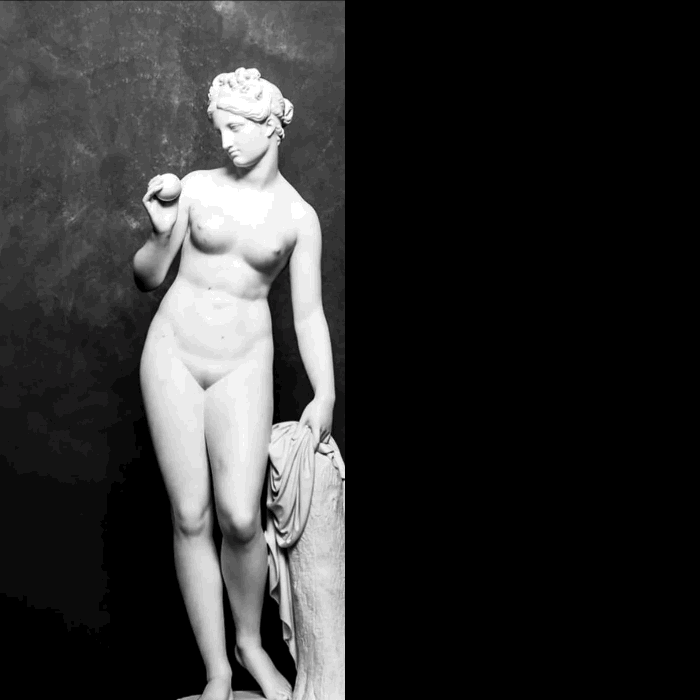 NANDI CUSTOM TREATMENT