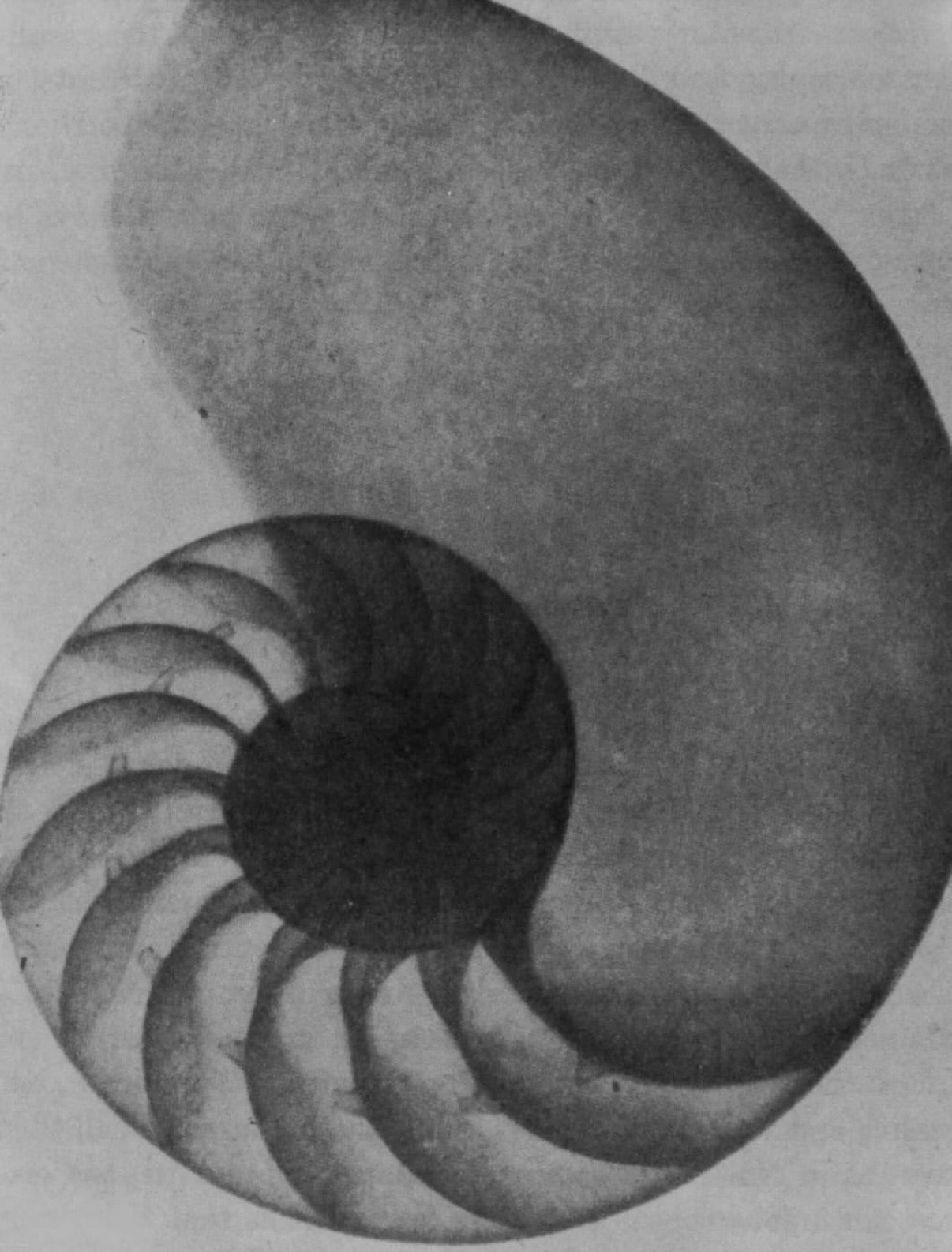 SOMATIC HEALING TREATMENT